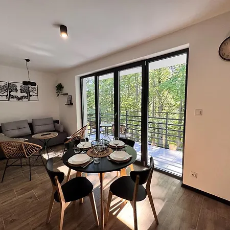 Stroma Forest C2 슈차이르크